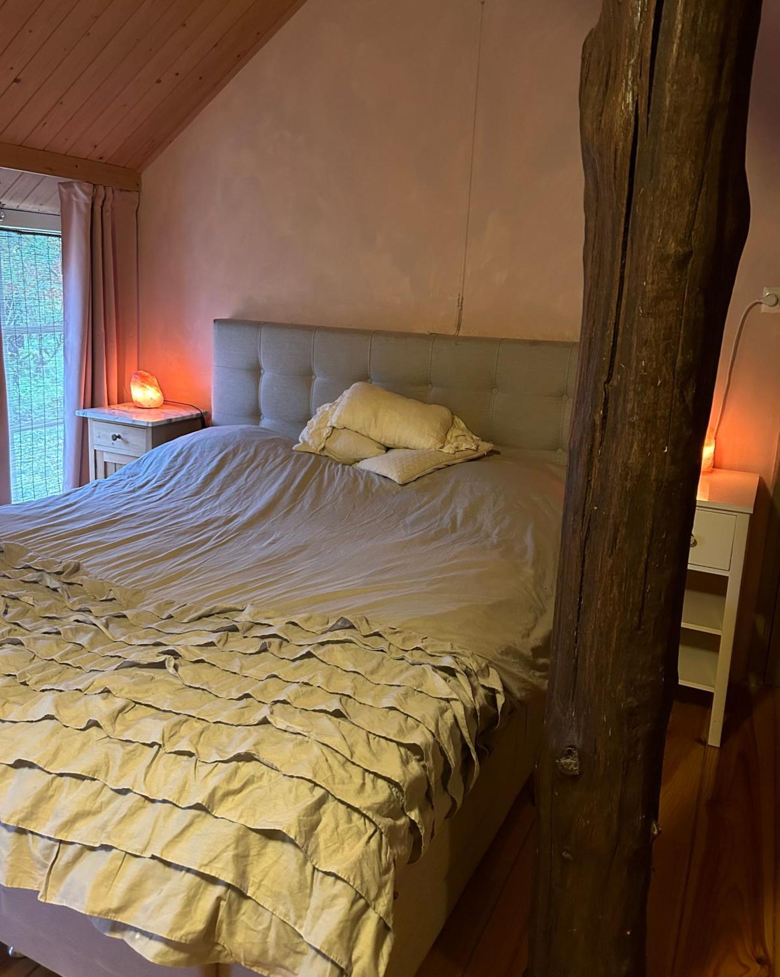 Landgoed De Bongel Bed & Breakfast De Wijk Ngoại thất bức ảnh